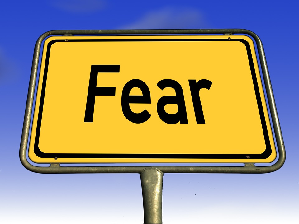 Fear of Consumer Behavior